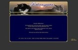 Website Katzenspuren