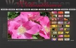 Website Wolkenblumen