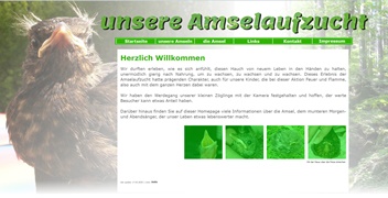Startseite unsere Amseln